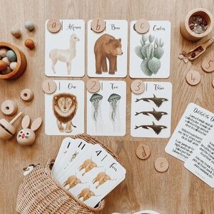 Nature's ABC & MATH SET flash cards by Jo Collier Montessori learning